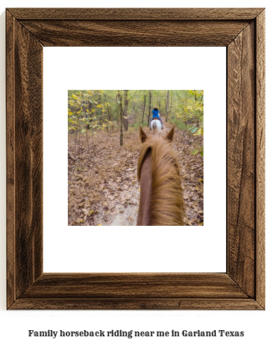 family horseback riding near me in Garland, Texas